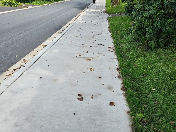 Sidewalk Renovation in Danville