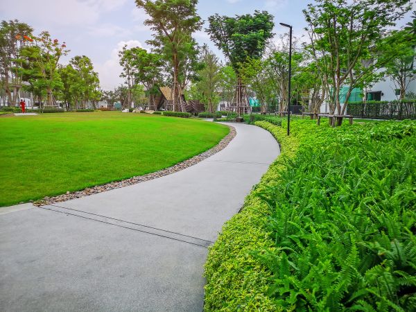 Cement Walkway Service in Danville